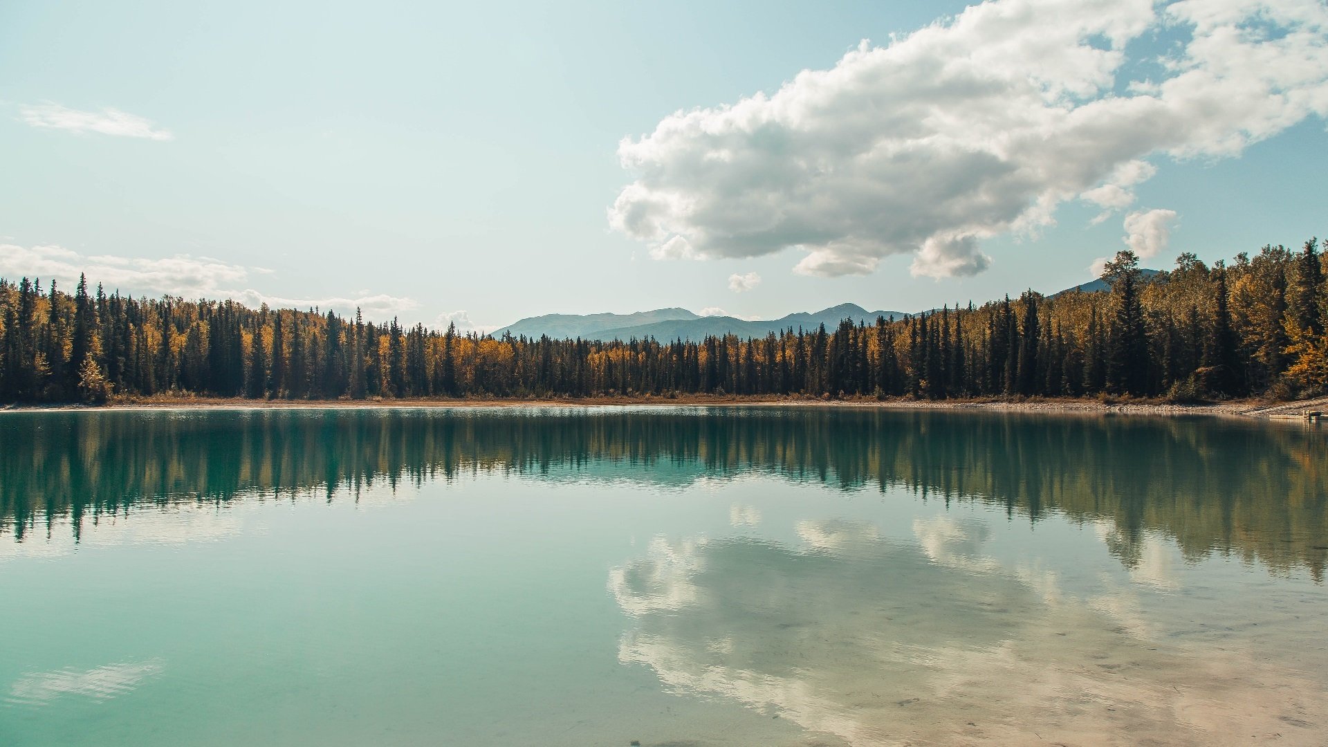 KAIYUNAPP-NBA明星的慈善行动感人至深，公益溢满赛场外，nba慈善活动