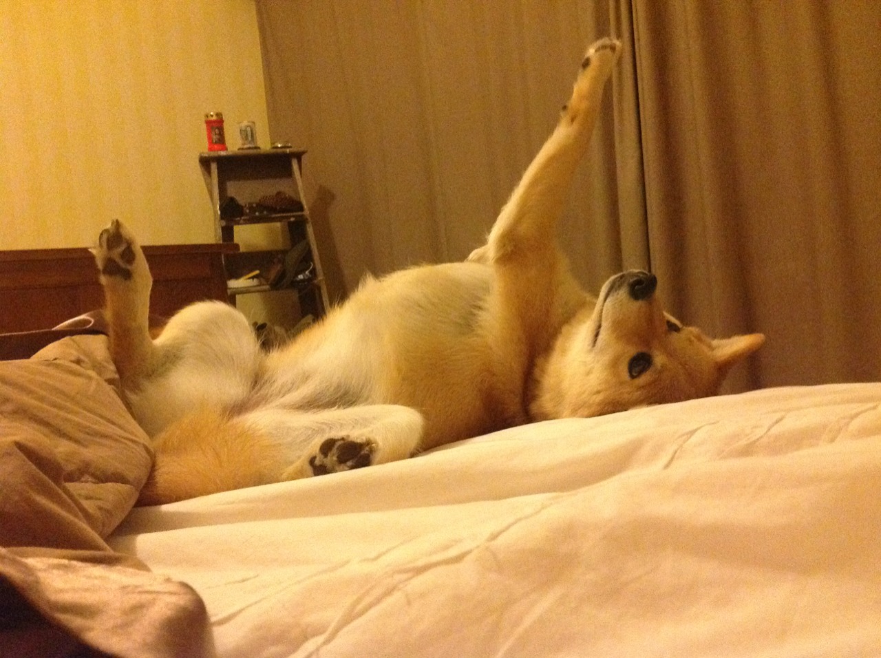 开云·体育官网APP下载-U23联赛火热进行，发现新星无数，u23t