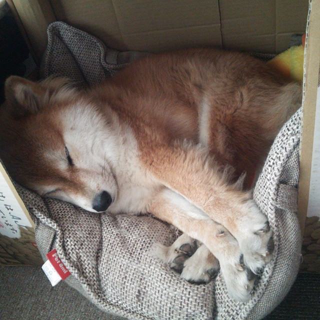 _勇士三分长枪不断,稳扎稳打_,三分勇士是什么意思