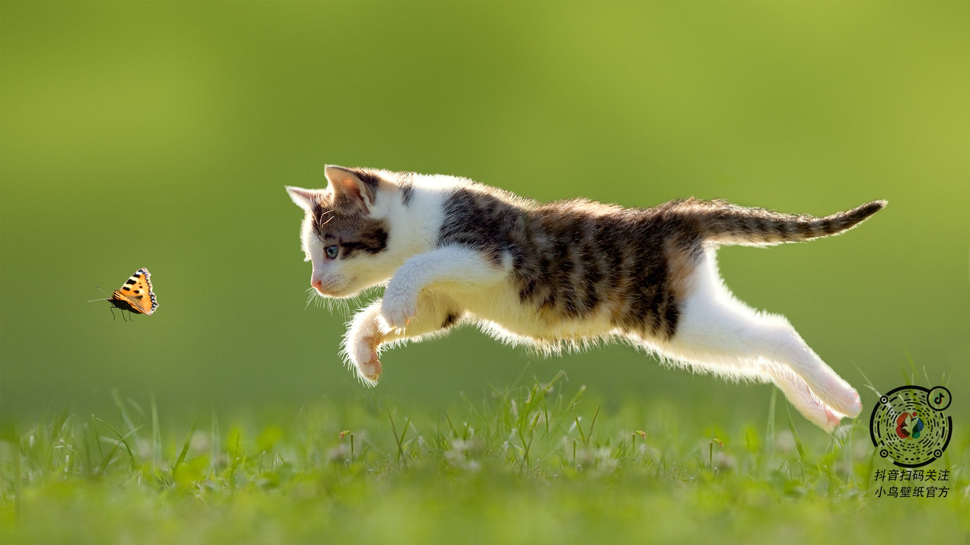 “法甲焦点战役：抢分大战激烈，悬念不断”，法甲首战