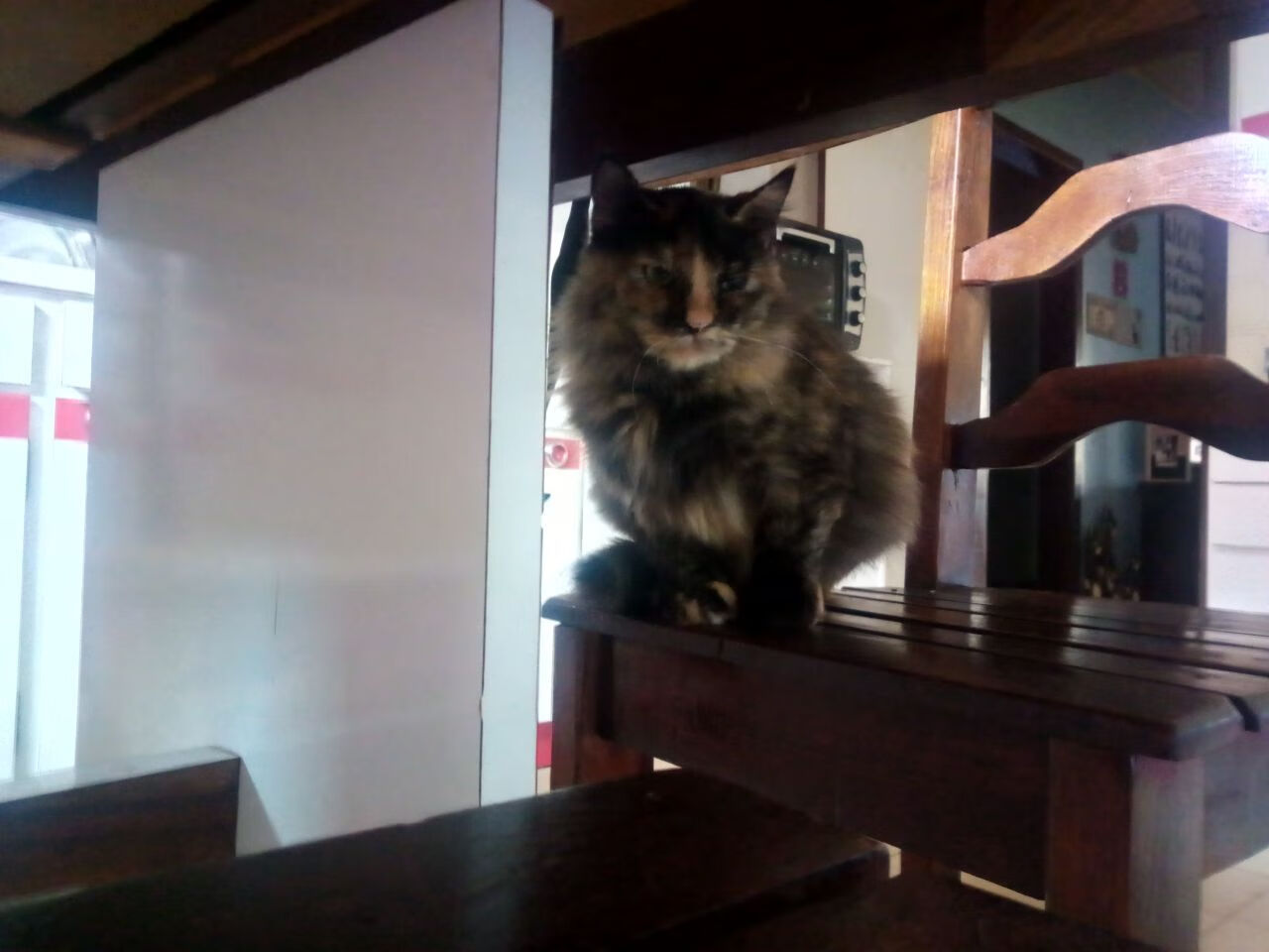 “百年赛道”——沃土之中的百年传承,百年赛道城观后感