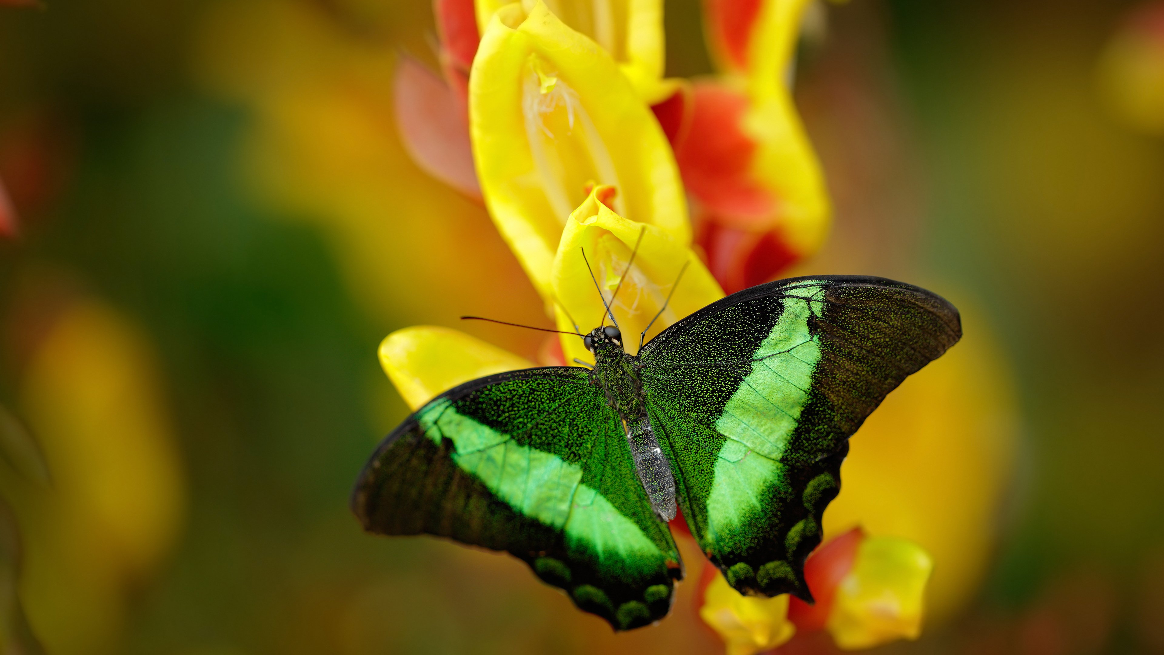 开云kaiyun-俱乐部财务自律制度正式执行，行业健康发展，俱乐部财务管理名词解释