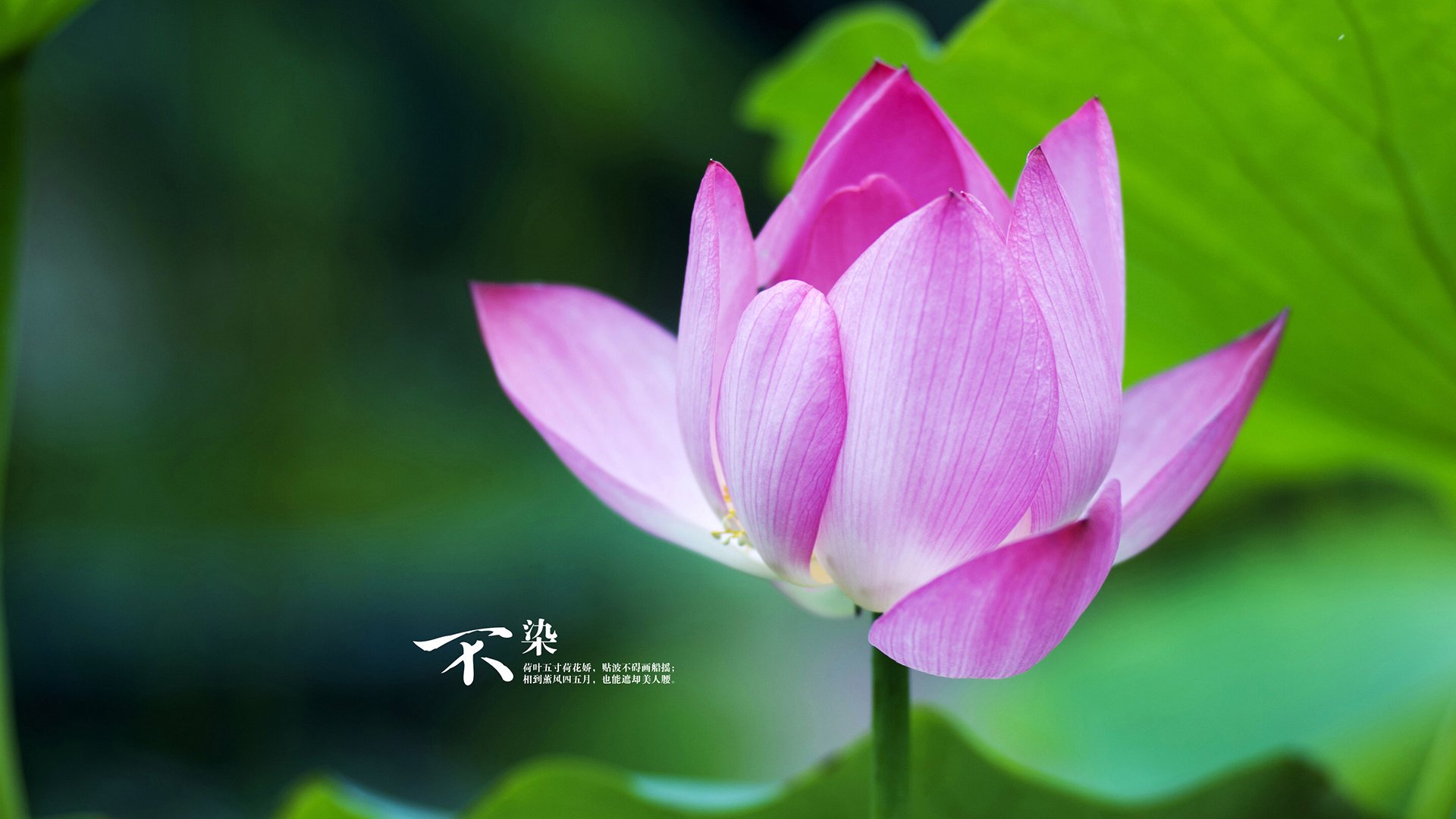 开云·体育官网APP下载-观察：比赛中最精彩的五个瞬间，比赛精彩程度