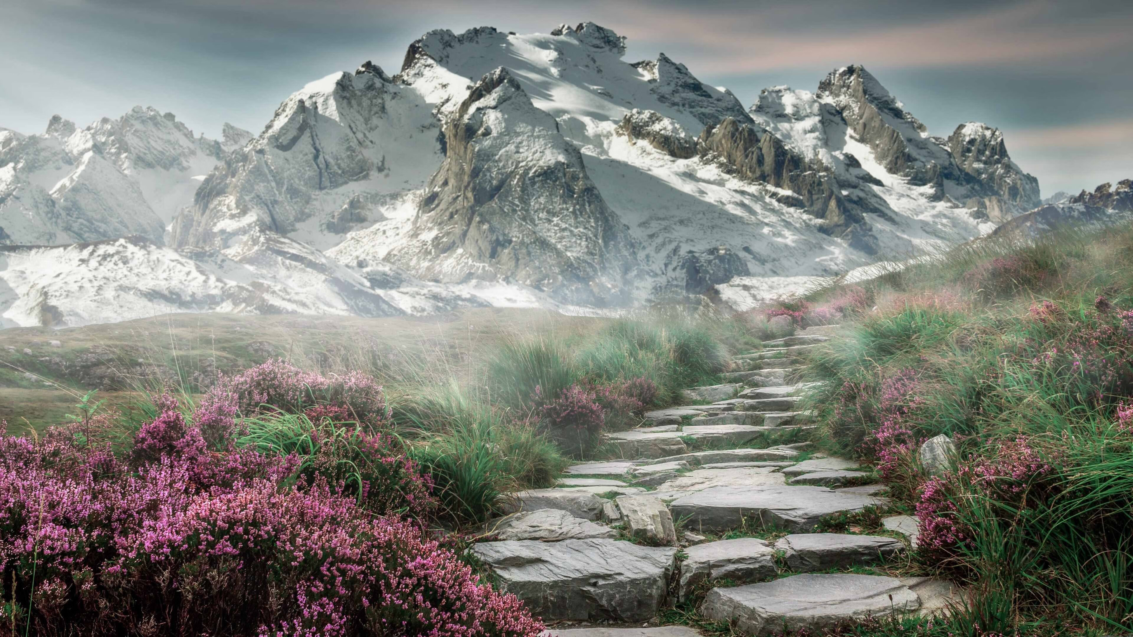 开云体育APP下载-车手心理战：在场上的战术与心态调控，车手diana