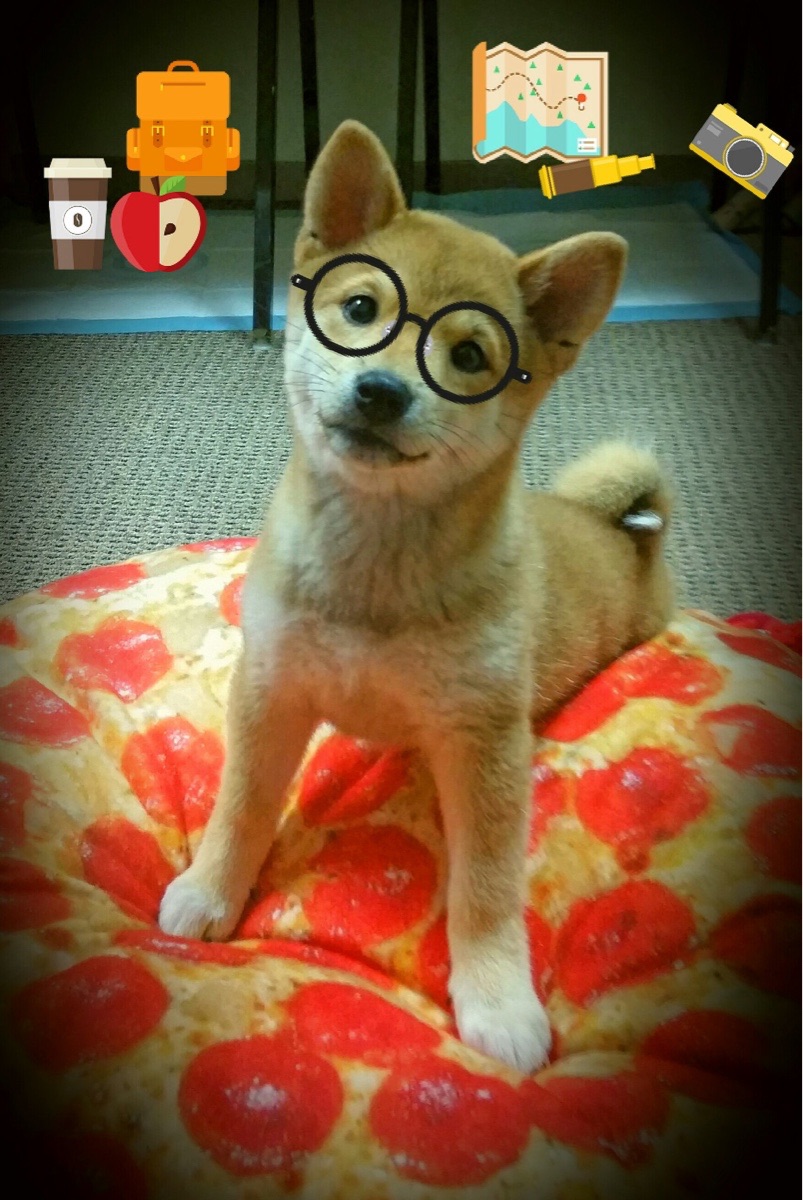 开云官网APP下载-运动员装备升级，创新科技助力战斗，运动员用品有哪些东西