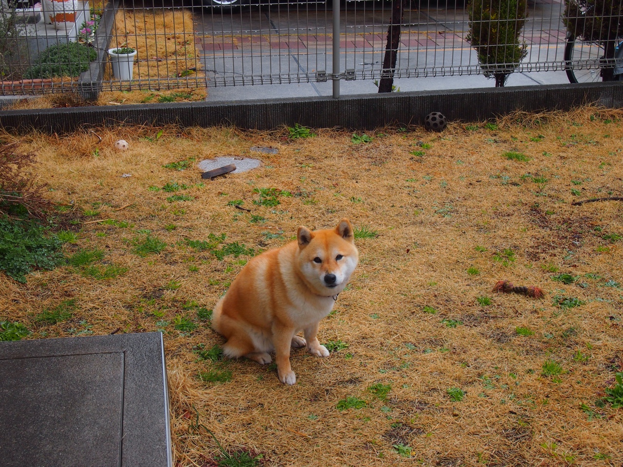 kaiyun体育app-鲁迪·加西亚被任命为比利时国家队新任主教练。，比利时 主教练