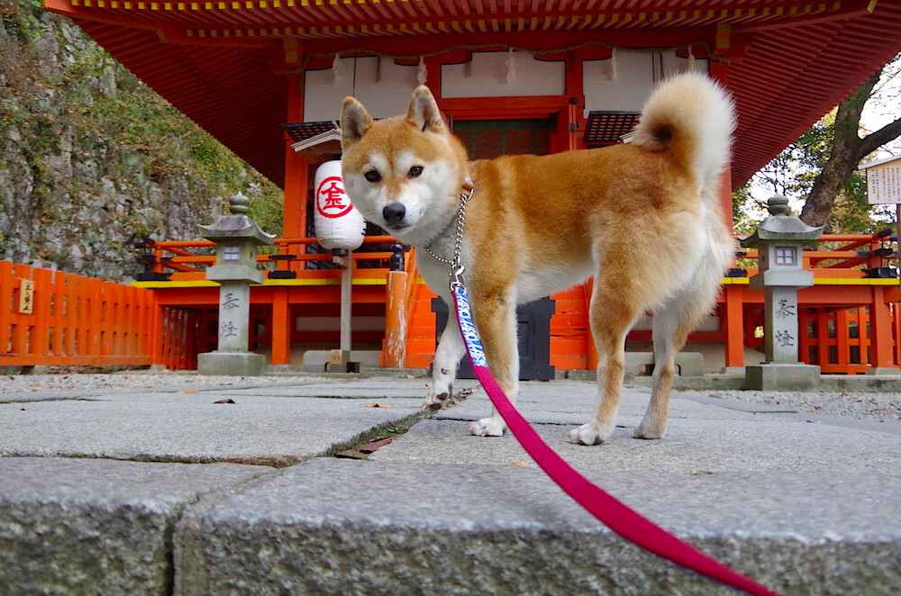 开云官方网站-中超俱乐部青少年比赛经验是否丰富，中超俱乐部青少年比赛经验是否丰富呢