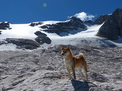 北美CS_GO内容创作者联手宣传电竞文化,csgo北美选手