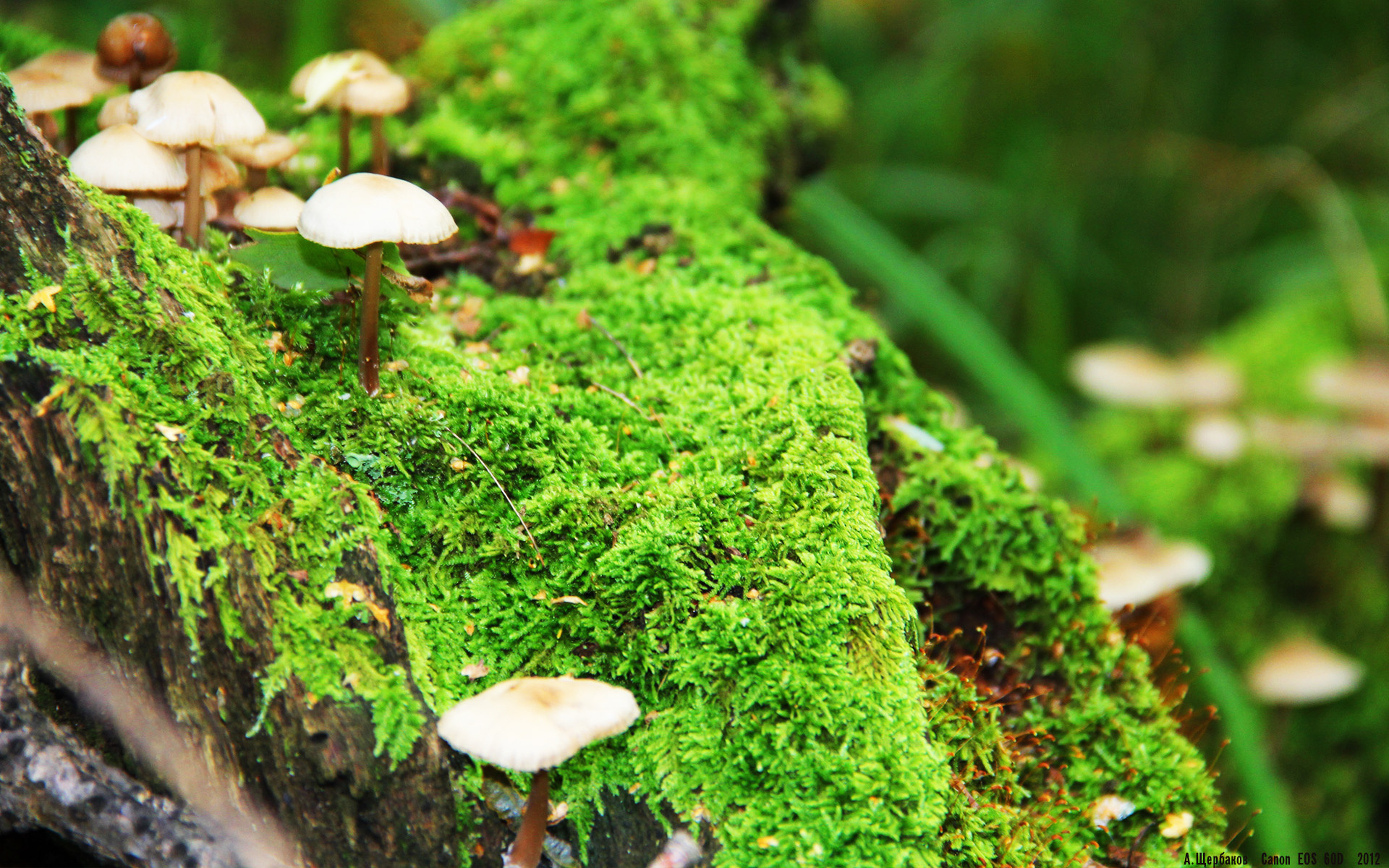 kaiyun网站-球队数据分析师是否成为比赛临场决策关键，cba球队数据分析师