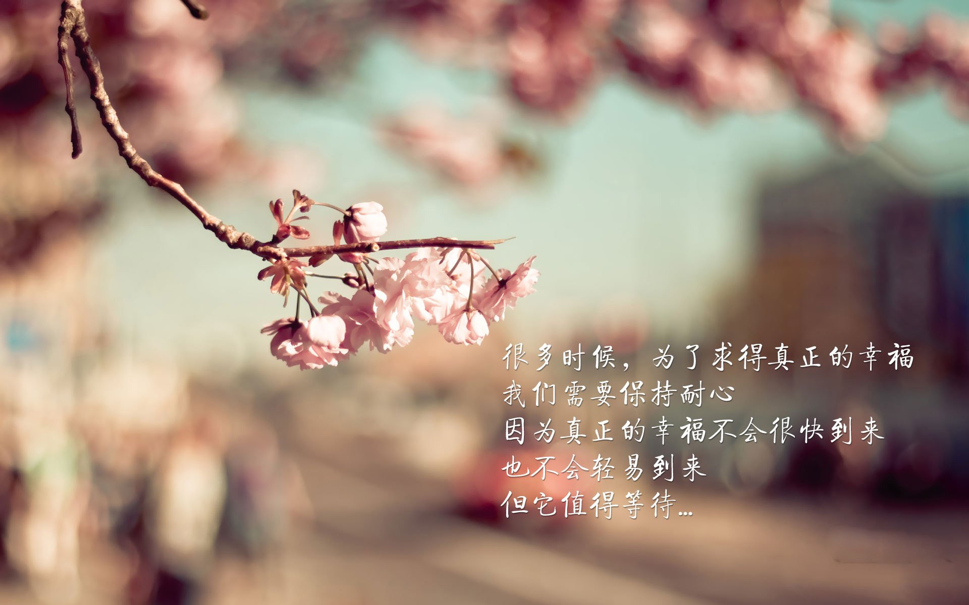 西汉姆联喜获大捷,豪取三分穿越淘汰,西汉姆联rice