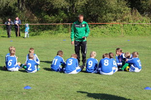 开云·体育官网APP下载-中国篮球教练员团队协作能力培养与管理实践，篮球教练员在团队中扮演了哪些角色