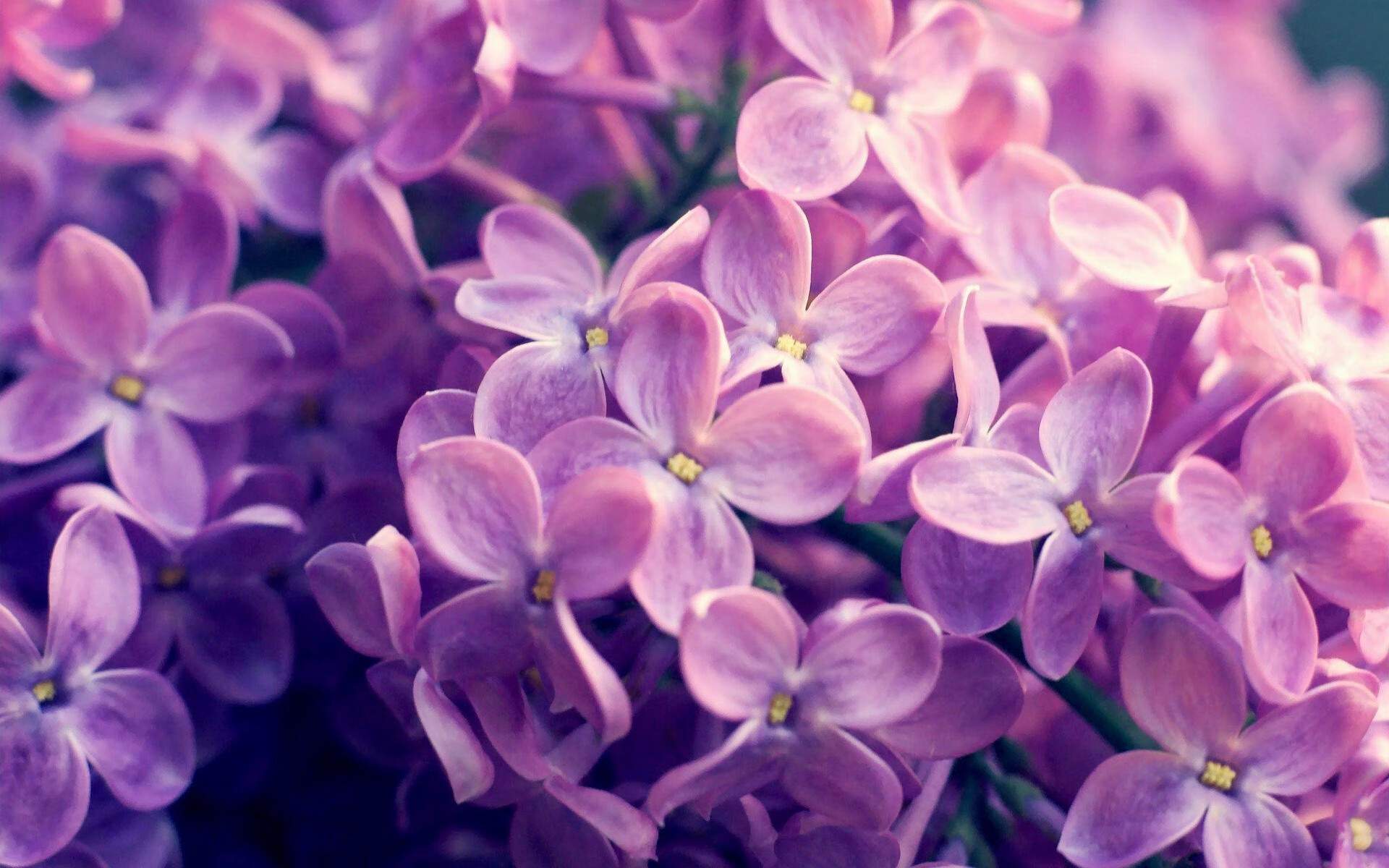 kaiyun网站-意甲青训项目加入比赛情绪识别系统提升抗压反应，意甲本队青训