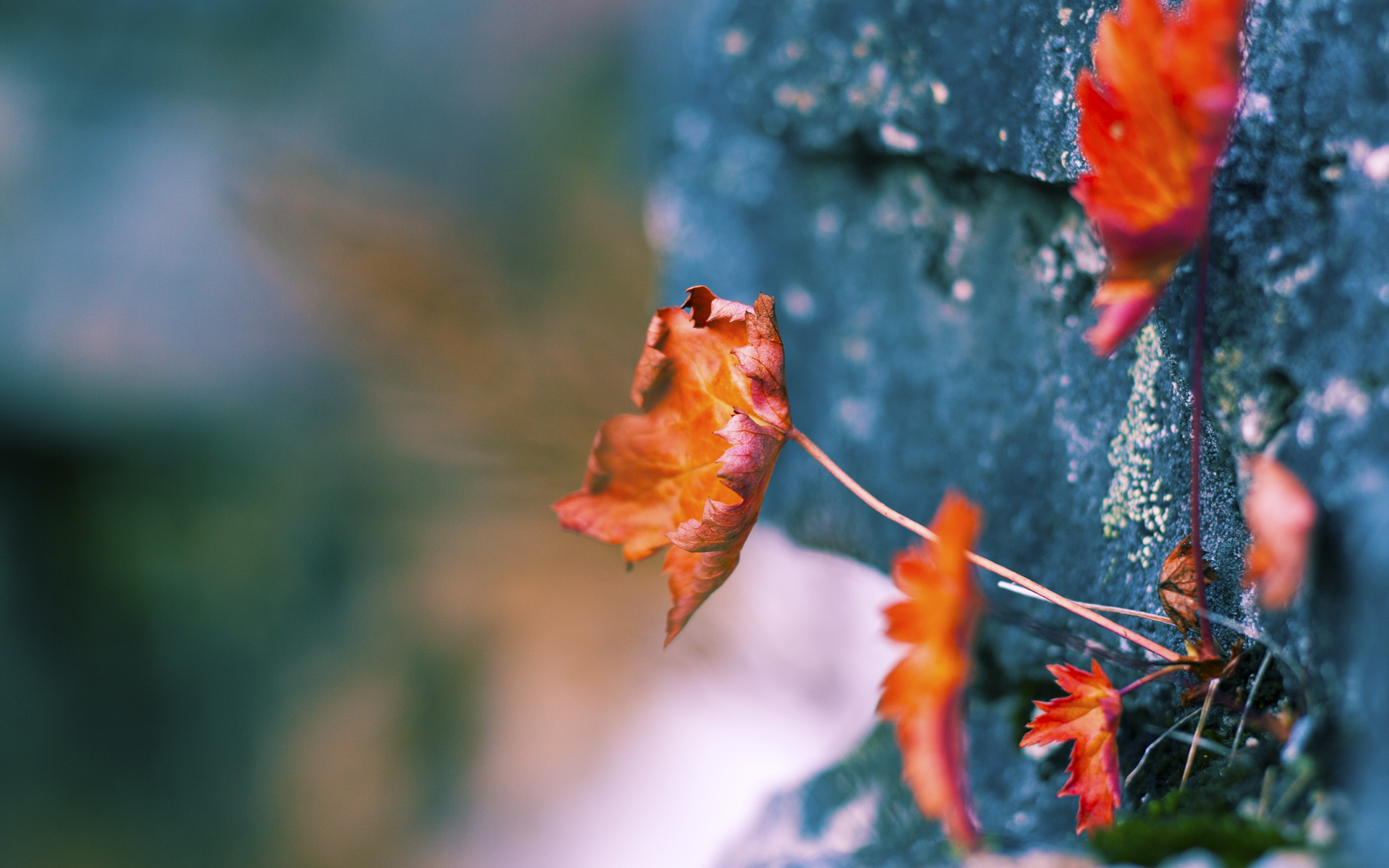 kaiyun体育综合-英超球队视频分析系统提升边路防守协同效率，英超球队战术