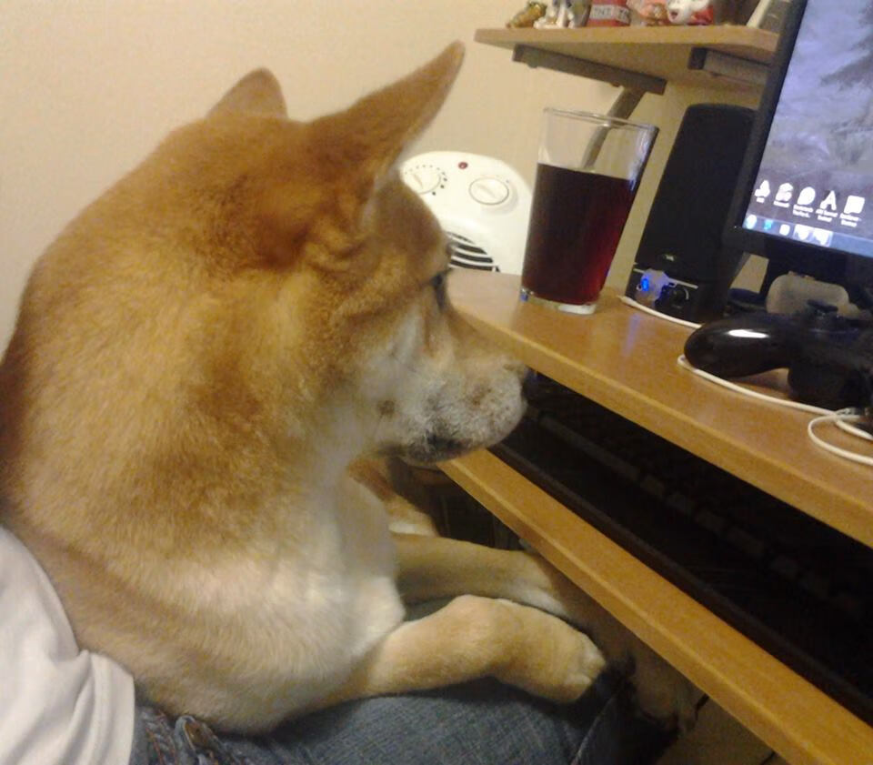 “泳池争锋!2025世界游泳锦标赛最强泳将谁与争锋?”