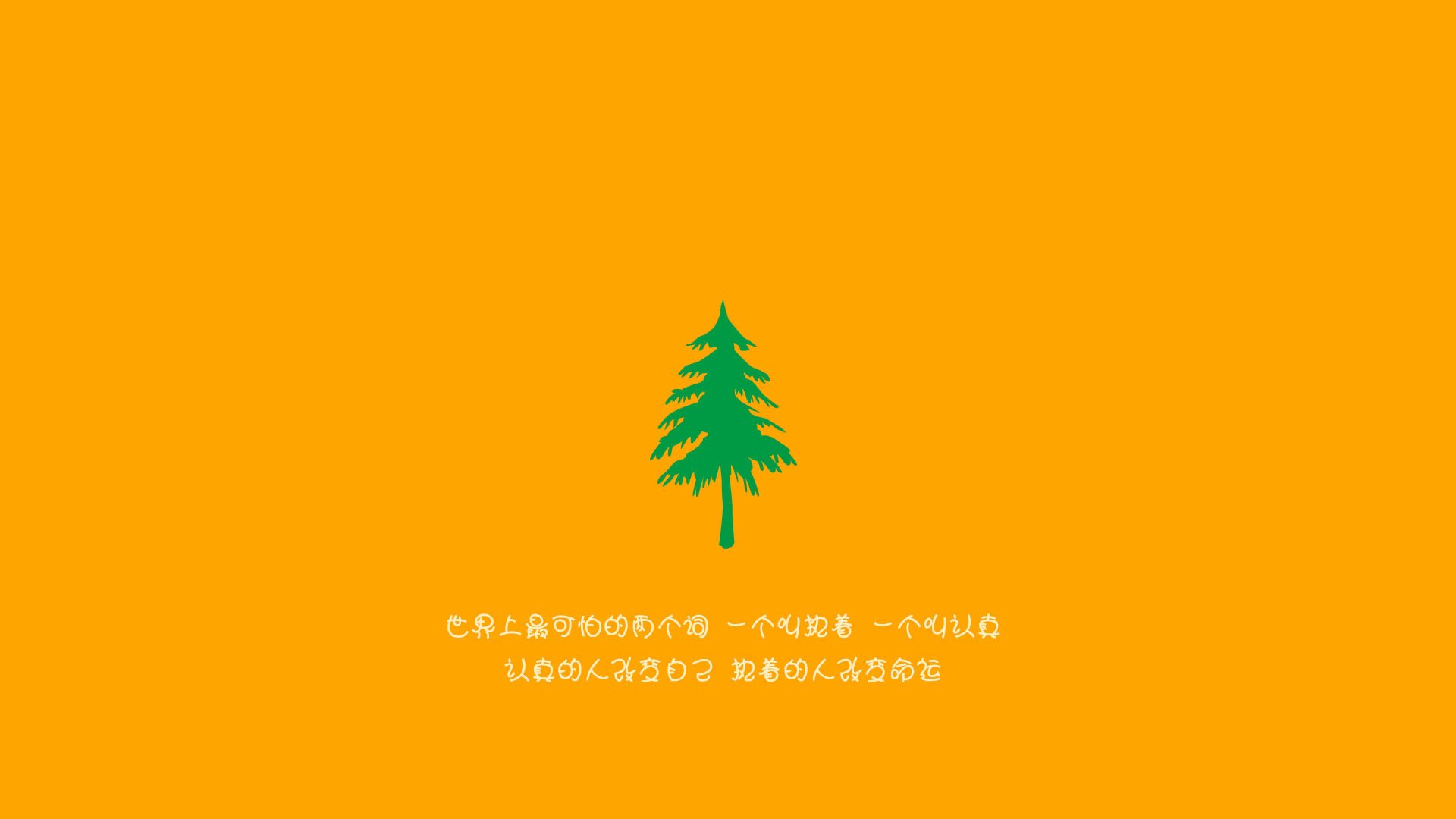 “滑轮新星崛起!成都滑轮中心见证新生力量”