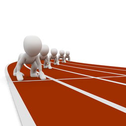 开云·体育官网APP下载-全运会筹备工作进入冲刺阶段，全运会备战方案