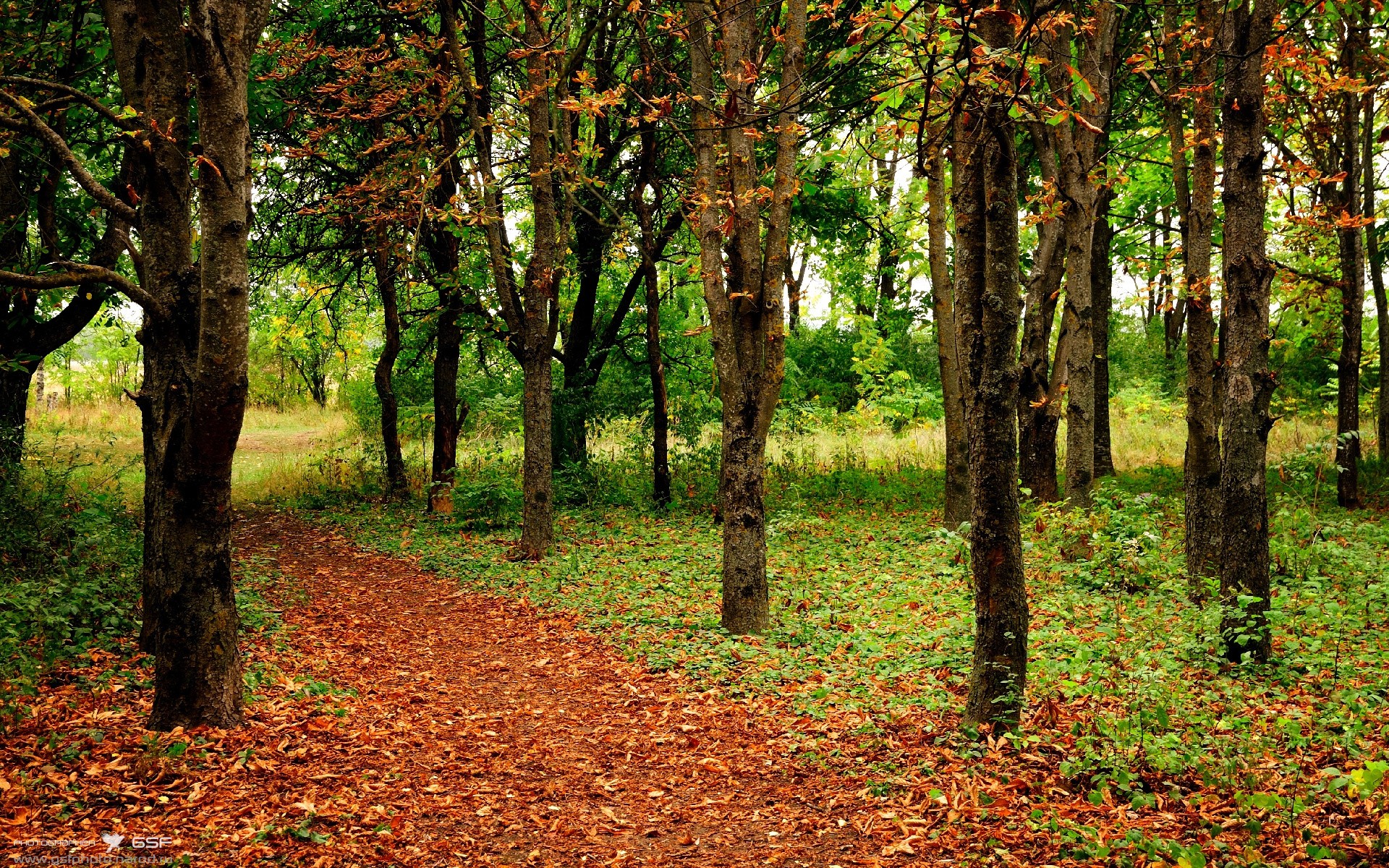 开云平台-博塔弗戈频繁犯规，难以控制节奏，博塔弗戈对福塔雷萨