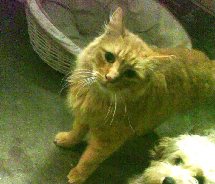 Kaiyun官方登录入口-国家男篮强调临场执行力减少失误率，国家男篮强调临场执行力减少失误率的措施