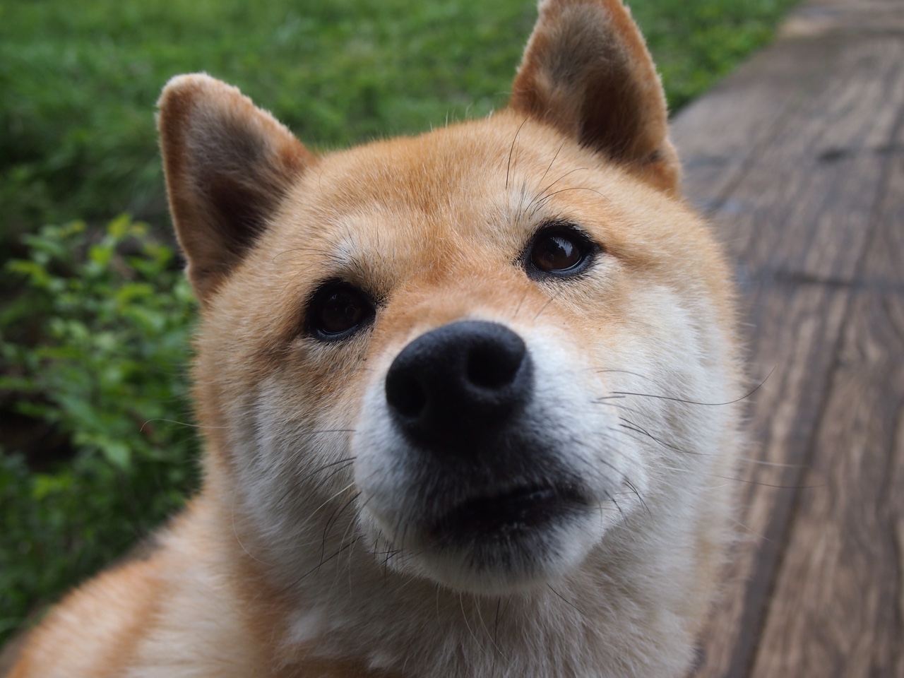 乌拉圭女篮在南美锦标赛中力争佳绩,为奥运冲刺